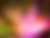 articles/images/b54ead00-5bf9-4010-a7f3-7698036453495260c1cf2b946b450d1ccc25c959bfb6.jpeg