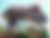 articles/images/4fee7667-df79-454d-9768-335023aa879917ddde6b3584d03fa42d494d5311eab3.jpeg