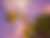 articles/images/f2db07e7-8ae5-42e6-b4ed-216648da4d0f8a3cab130f98f7dbeeb63fc029f082f8.jpeg