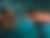 articles/images/c9ee7533-97c5-49ad-a9c3-bf485682b327d0e4588c6093bb8febfef9c1edd16c88.jpeg