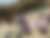 articles/images/9d6d002a-f9a0-470b-85ff-d9db636c6bc5869f608b68aa0ff1234700ee7e178ab1.jpeg