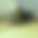avatar/8a817c67-50d2-49d0-9cb6-90d596edb052aa68ff4a67a178c78081d8e40edf1dfe.jpeg